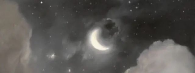 もちゃ🤍🪼🫧さんの壁紙画像