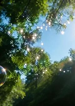 𝙉𝙀𝙄𝙍𝘼 𝙎𝙏𝙐𝘿𝙄𝙊