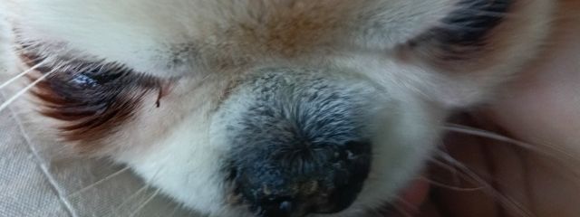 海月さんの壁紙画像