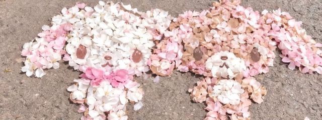 なるせさんの壁紙画像
