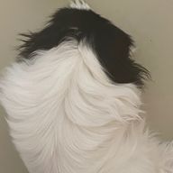 まりんさんのアイコン画像