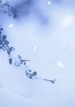 死にたがりの私と希望に満ちた君