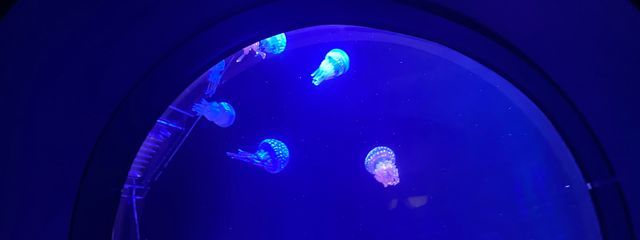 ののかさんの壁紙画像