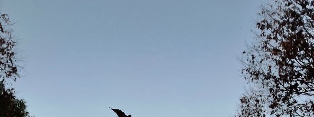 霧月星花さんの壁紙画像