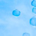 (夢主、ディラン)