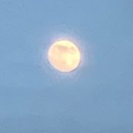 結莉さんのアイコン画像