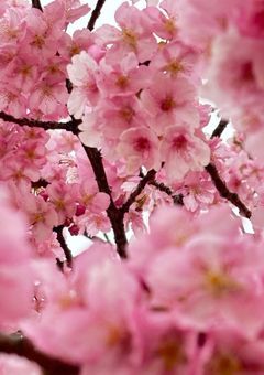 オエカキオエカキランララーン( ・ω・)/✏️_/☆♪$*♡★