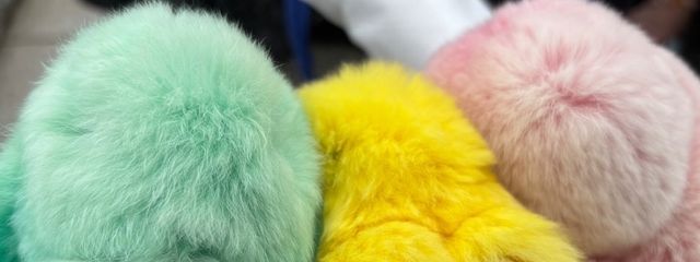 Sくんさんの壁紙画像