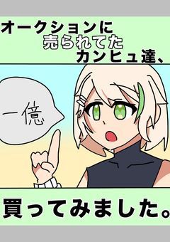 オークションに売られてたカンヒュ達、買ってみました。