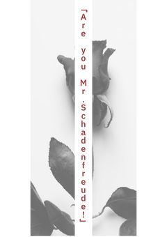 「Are you Mr.Schadenfreude!」