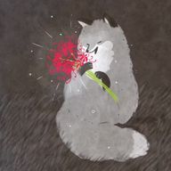 燦華🦊👑さんのアイコン画像