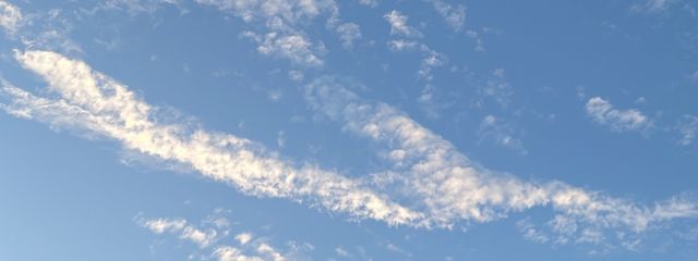 天最高なデュフフ（休止中さんの壁紙画像