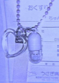 　✘　死ねないやつの愚痴部屋　✘