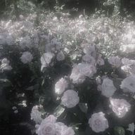 ゆんさんのアイコン画像