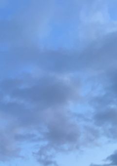 写真を撮りたいお年頃