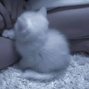 ⌇恨み帳には書きませぬ𓂃⟡.·