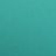 たまころさんのアイコン画像