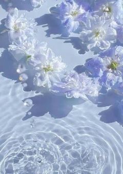 おぷちゃ ’ らいん