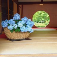 ひなっちさんのアイコン画像