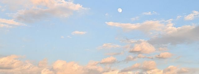 白狐花火（更新遅め）さんの壁紙画像