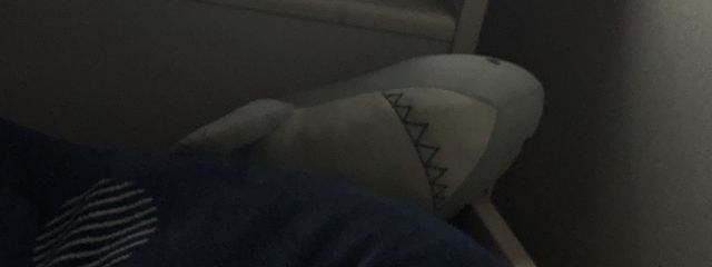 ぬょ ( ᐛ )さんの壁紙画像