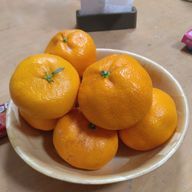 蜜柑🍊さんのアイコン画像