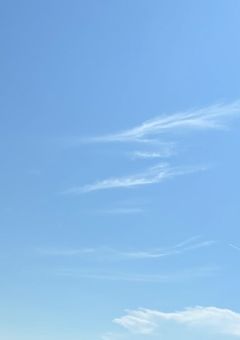 🌞日光浴広場🌞