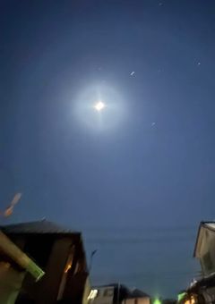 男子嫌いな私、溺愛されてるのなんで！？