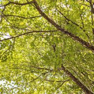 耀さんのアイコン画像