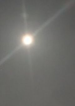 3千と六百年前から貴方を待ち続けている。