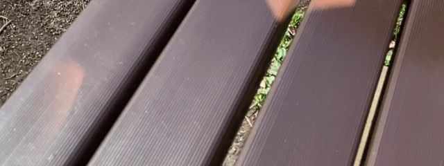 ﾓｯﾁｬﾚﾗ🥞さんの壁紙画像