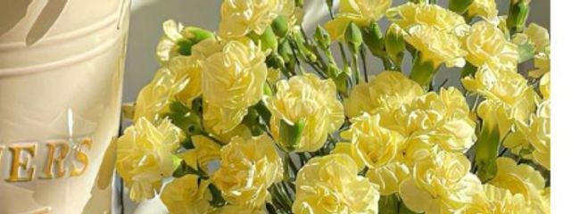 ゆずᰔᩚ ‪‪(ポエム休みます)フォロバはする！！さんの壁紙画像