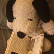 塩顔犬。さんのアイコン画像