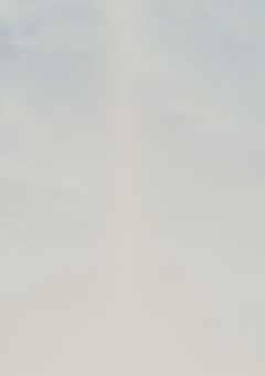 嫌いなはずなのに〜葉月視点〜