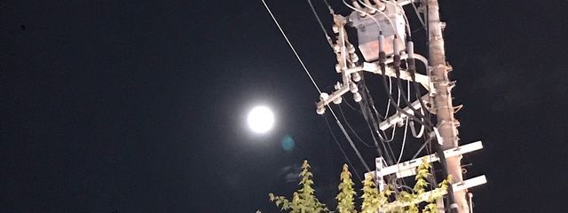 Aliceさんの壁紙画像