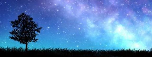 クワッちゃんさんの壁紙画像