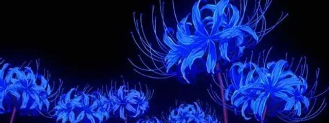 吏雨葉さんの壁紙画像