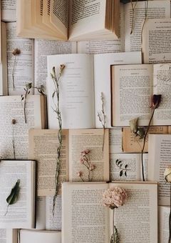 𝚜𝚊𝚔𝚞𝚛𝚊さん専用ノート