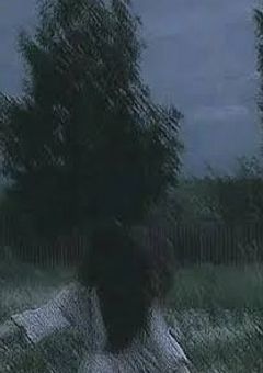 強く 酷く 深い悲しみ