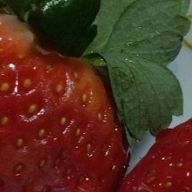 十六夜さんのアイコン画像