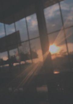 あの人は俺にだけ甘えてくれない。