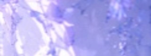 Aoiさんの壁紙画像