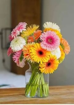 羽追 のの の配信部屋