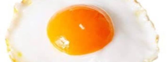 目玉焼き🍳さんの壁紙画像