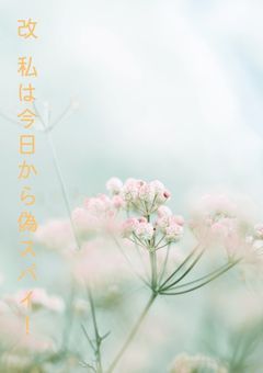 改　私は今日から偽スパイ！