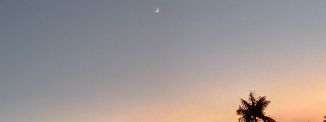 弓梛(ゆな)さんの壁紙画像