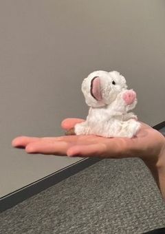 走りだせ今すぐに！！