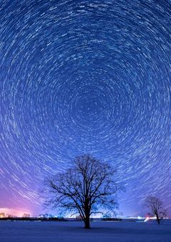 星を掴みに行ってもいい…？