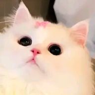 、さんのアイコン画像