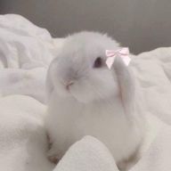 兎 .さんのアイコン画像